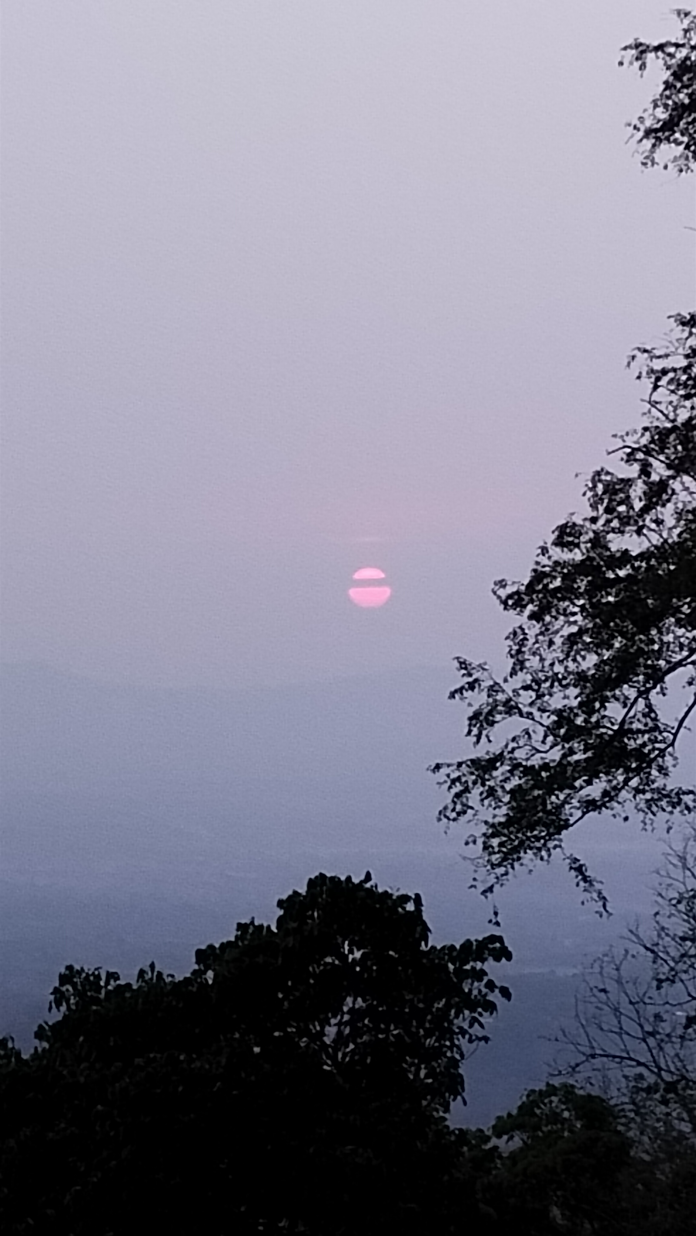 Tapan Debbarma